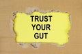 Trust your gut inscription. Follow instincts concept