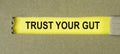 Trust your gut inscription. Follow instincts concept