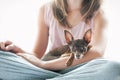 Trusting, devotion. Little toy-terrier dog lying on girl`s hand