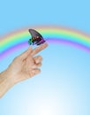 Trusting Rainbow Butterfly Message Background Royalty Free Stock Photo