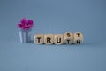 Truth or trust symbol. Turned wooden cubes and changes the word Truth to Trust. Beautiful blue background. Pot with flowers. Royalty Free Stock Photo