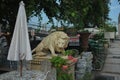 Guardian lion staue near Kamphaeng Phet NO.2