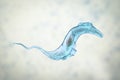 Trypanosoma cruzi parasite Royalty Free Stock Photo