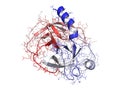 Trypsin enzyme molecule, chemical structure.