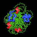 Trypsin molecular chemical formula. Enzyme of the pancreas. Infographics. Vector illustration on black background Royalty Free Stock Photo