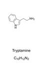 Tryptamine. Skeletal and structural formula Royalty Free Stock Photo