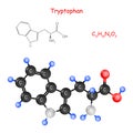 Tryptophan. Chemical structural formula and model of molecule