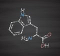 Tryptophan (l-tryptophan, Trp, W) amino acid molecule