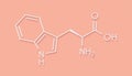 Tryptophan l-tryptophan, Trp, W amino acid molecule.