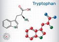 Tryptophan, Trp or W amino acid molecule, is used in the biosynthesis of proteins. Structural chemical formula and molecule model