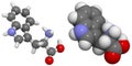 Tryptophan (Trp, W) molecule