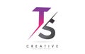 TS T S Letter Logo with Colorblock Design and Creative Cut