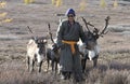 Tsaatan man, dressed in a traditional deel, with his reindeers