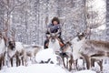 Mongolian Reindeer in Taica Bioecology at Khovsgol, Mongolia