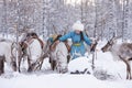 Mongolian Reindeer in Taica Bioecology at Khovsgol, Mongolia