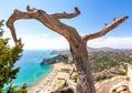 Tsampika beach and Rhodes island panorama from Tsampika mountain top, Greece Royalty Free Stock Photo