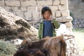 A Cute girl with look of sorrowof, Tibetan nationality with a sunburn on her face is standing on the barnyard near calves and hay