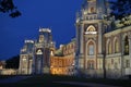 Tsaritsyno historical buildings museum night view