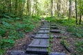 Tscheppaschlucht - Scenic wooden hiking path through forest of Tscheppaschlucht, Loibl Valley, Karawanks, Carinthia