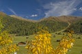 Tschey meadow in Tyrol Royalty Free Stock Photo