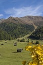 Tschey meadow in Tyrol Royalty Free Stock Photo