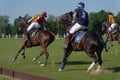 British Polo Day in Moscow Royalty Free Stock Photo