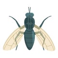 Tsetse fly icon cartoon vector. Africa insect