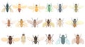 Tsetse fly icons set cartoon vector. Dangerous disease