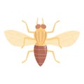 Tsetse fly insect icon cartoon vector. Africa mosquito