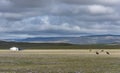 Tsetserleg Hovsgol Yurt Mongolia