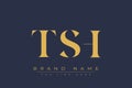 TSH abstract letter logo design Royalty Free Stock Photo