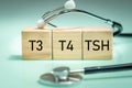 TSH, diagnosis of thyroid diseases, medical examination of t3 and t4, production and secretion of hormones, hypothyroidism or Royalty Free Stock Photo