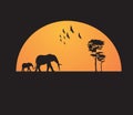 Tshirt design - Africa sunset