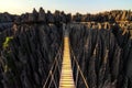 Tsingy canyon bridge