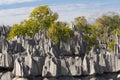 Tsingy de Bemaraha