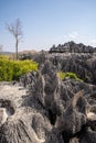 Tsingy de Bemaraha, Madagascar: Unique rock formations. Royalty Free Stock Photo