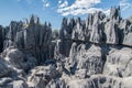 Tsingy de Bemaraha National Park. The Great Tsingy, Bekopaka, Madagascar. View of the limestone sharp rocks.	Generated image Royalty Free Stock Photo
