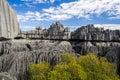 Tsingy de Bemaraha Royalty Free Stock Photo