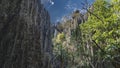 Tsingy De Bemaraha Nature Reserve. Grey karst limestone cliffs