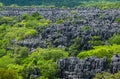 Tsingy de Bemaraha. Typical landscape. Madagascar. Royalty Free Stock Photo