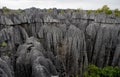 Tsingy de Bemaraha. Typical landscape. Madagascar. Royalty Free Stock Photo