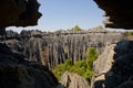 Tsingy de Bemaraha. Typical landscape. Madagascar. Royalty Free Stock Photo