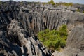 Tsingy de Bemaraha. Typical landscape. Madagascar. Royalty Free Stock Photo