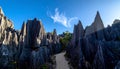 Tsingy Limestone Pinnacles Landscape, Madagascar Dramatic Karst Formations and Winding Path under Blue Sky Royalty Free Stock Photo