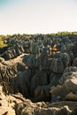 Tsingy Madagascar Royalty Free Stock Photo