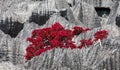 Tsingy. Plants with red leaves on the gray stones. Very unusual photo. Madagascar.