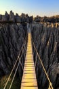 Tsingy rope bridge