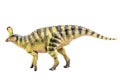 Tsintaosaurus Spinorhinus Dinosaur on white isolate background Clipping path