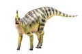 Tsintaosaurus Spinorhinus Dinosaur on white isolate background Clipping path