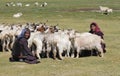 Tso Moriri nomadic women Royalty Free Stock Photo